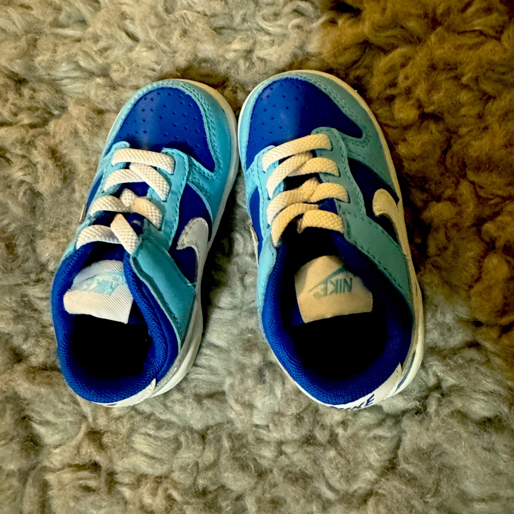 Dunk Low Retro QS "Argon TD" sneakers